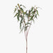 Eucalyptus Foliage & Pod - Biku Furniture & Homewares