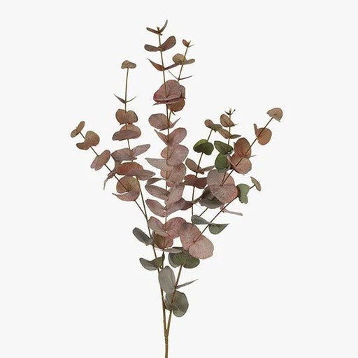 Silvery Eucalyptus Dollar Pink Grey - Biku Furniture & Homewares