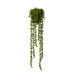 String of Pearls Potted - Biku Furniture & Homewares